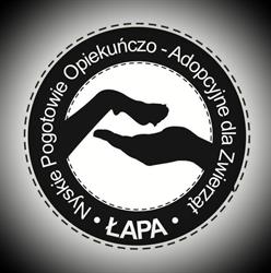 Nyskie Pogotowie Opiekuńczo Adopcyjne Dla Zwierząt Łapa