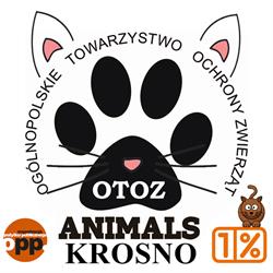 Kociarnia OTOZ Animals Krosno