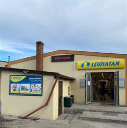 Lewiatan