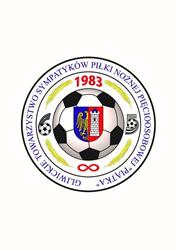 GTSPNP