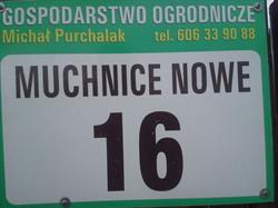 Gospodarstwo Ogrodnicze Michał Purchalak