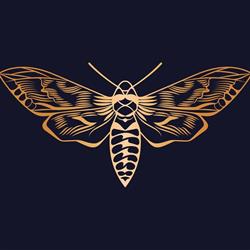 GOLDEN MOTH