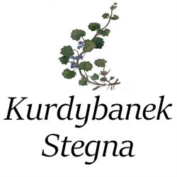 Kurdybanek Stegna Domki letniskowe