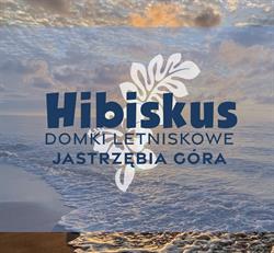 Hibiskus