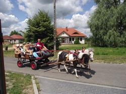 Pasikonik Krzysztof Golanko
