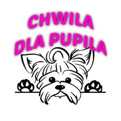 Chwila Dla Pupila