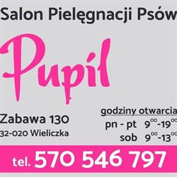 Salon Pielęgnacji Psów PUPIL