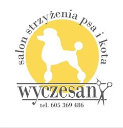 Psi fryzjer/ salon strzyżenia psa i kota. Wyczesany
