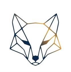 FOXNET POLSKA