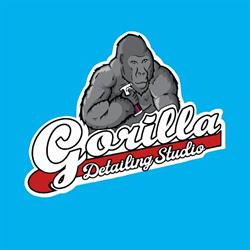 Gorilla Detailing Studio - Detailing Wrocław
