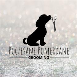 Poczesane Pomerdane Grooming - Strzyżenie psów, Hundesalon