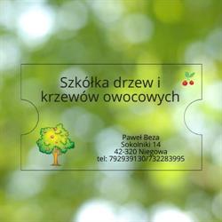 Szkółka drzewek i krzewów owocowych Beza