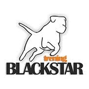 BLACK STAR szkolenie psów Białystok