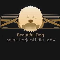 Beautiful Dog