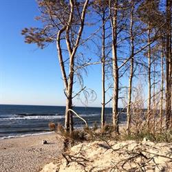 Plaża - Łazy