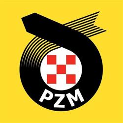 PZM Rzeczoznawca samochodowy - Wyceny, ekspertyzy, opinie