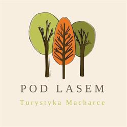 Domki Pod Lasem
