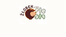 Żłobek Ple-Ple w Mszanie Dolnej