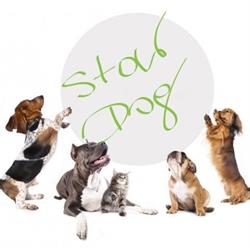 StarDog