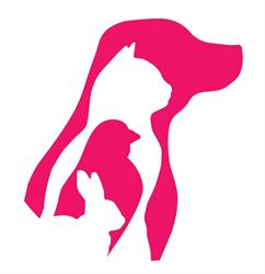 Animal Atelier fryzjer dla psów i kotów Opole