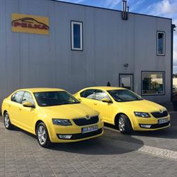 Serwis Samochodowy Pełka