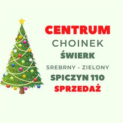 Centrum choinek Spiczyn 110