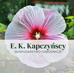 Gospodarstwo Ogrodnicze E. K. Kapczyńscy