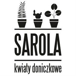 SAROLA ADRIAN RZEPECKI