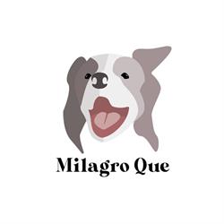 Milagro Que Kennel