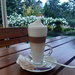 Kawiarnia Leśna LUXE