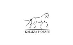 Kaluza Horses