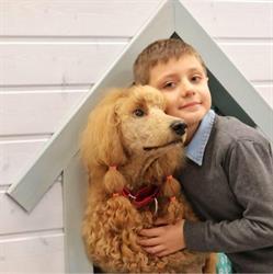 Przyjaciel Pudel /Dogoterapia Opole