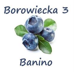 Centrum Borowiecka 3