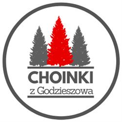Choinki z Godzieszowa
