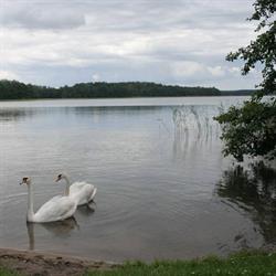 Agroturystyka Rybaczówka