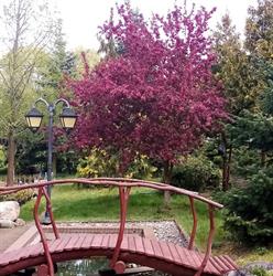 Dein Garten