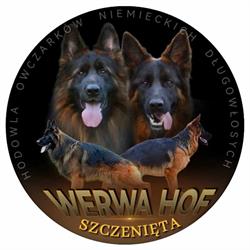 Hodowla Owczarków Niemieckich WERWA
