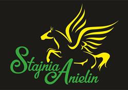 Stajnia Anielin