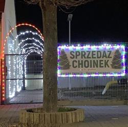 Choinki u Karola