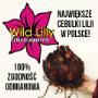 Lilie cebulki