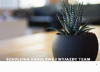 Strona internetowa z TRYBOWICZ COACHING