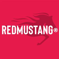 REDMUSTANGR - Strony Internetowe, Pozycjonowanie, Reklama w Google, Social Media