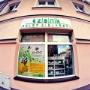 zielnik