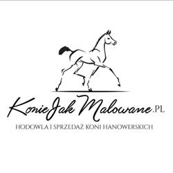 Konie Jak Malowane - hodowla koni Hanowerskich