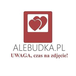 Fotobudka, ciężki dym, zimne iskry, napis LOVE, taniec w chmurach www.alebudka.pl