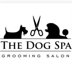 The Dog Spa - Fryzjer psów + HOTELIK domowy z ogrodem Wilanów, Groomer