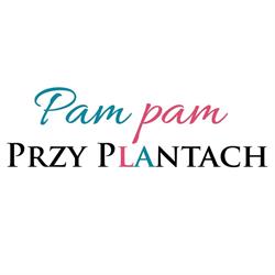 PAM PAM Przy Plantach. Ambasada Pomelody. Radość rodzinnego muzykowania