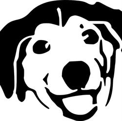 KaMiZoo