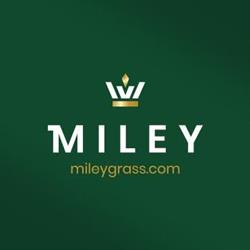 Miley Grass