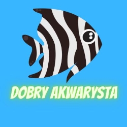 Dobry Akwarysta
